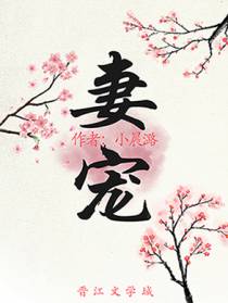 妻宠(重生)