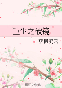 重生之破镜