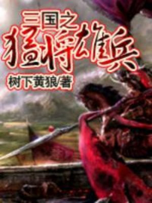 三国之猛将雄兵
