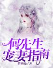 何先生宠妻指南